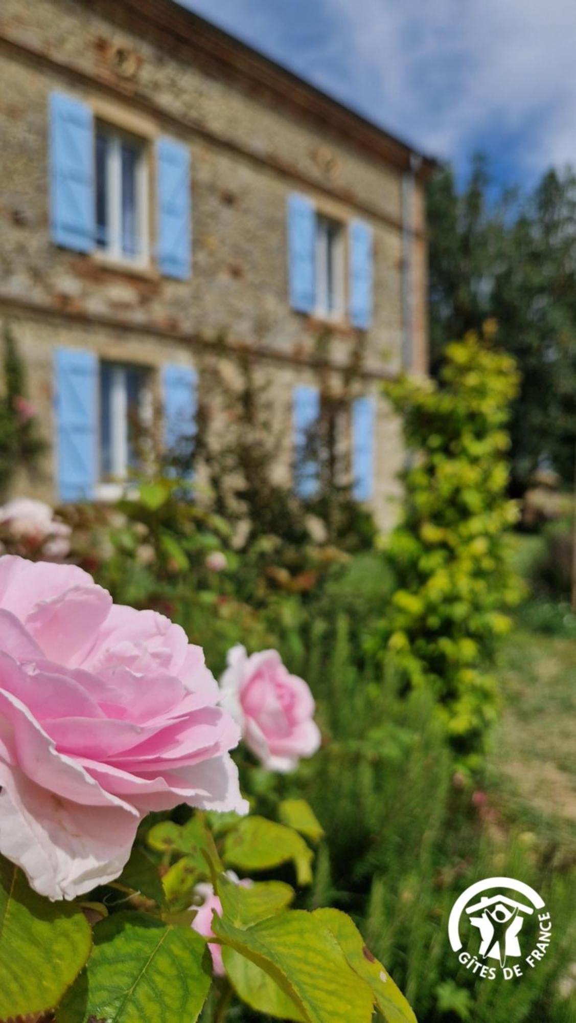 Aux Roses De Cedres Chambre Savane Salvagnac Ngoại thất bức ảnh